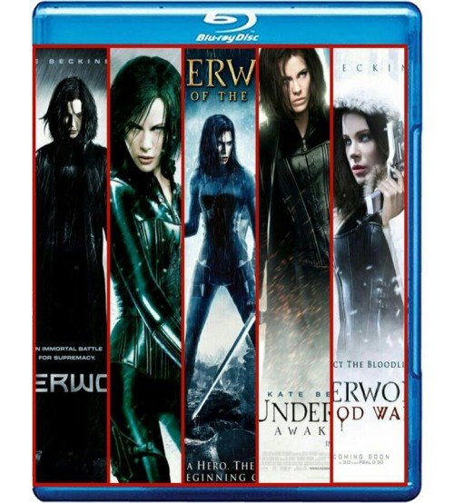 Coleção Anjos da Noite Coleção Anjos da Noite