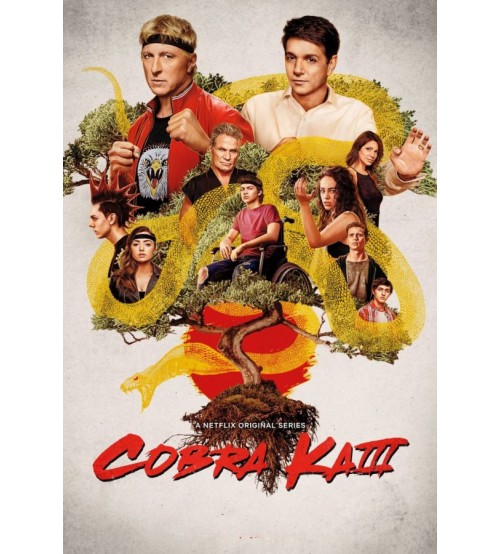 Cobra Kai Cobra Kai